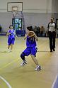 Basket 242014